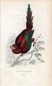  by Unbekannter Künstler