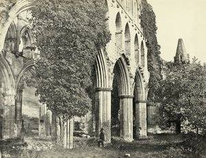 Rievaulx Abbey, Kuzey Yorkshire, Birleşik Krallık (s/b fotoğraf) by Unbekannter Künstler