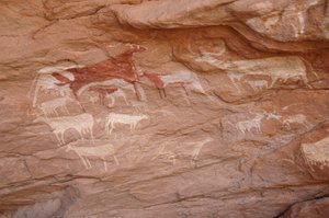 Kaya sanatı, Tarih Öncesi: Sudan (Karkur-Talh veya Karkur Talh) Uweinat masifinde süslü bir barınakta bir dizi sığırın resmi. MÖ 8000 ila 3000 yıl arası dönem. fotoğrafçılık by Unbekannt