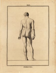 Orestes heykeli, çıplak, Yunan mitolojisinde Agamemnon