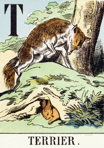 T : Terrier - Av Alfabesi, c.1890 (gravür) by Unbekannt