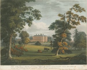 Teddesley Hall: renkli aquatint gravür, nd [c 1825] by Unbekannt