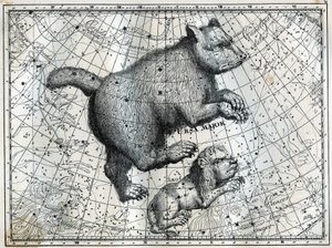 Boreal Takımyıldızları: Büyük Ayı ve Küçük Aslan. Camille Flammarion