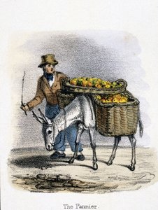 Pannier