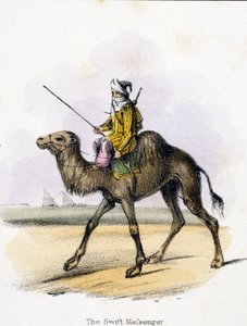 Hızlı Haberci