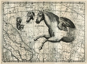 Pegase takımyıldızı, bir çift kanatlı atın ön yarısı, Küçük At, bir atın başı ve Yunus gibi çizer. Camille Flammarion