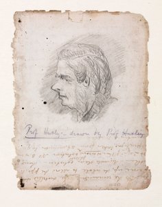 Thomas Henry Huxley, İngiliz biyolog, 19. yüzyılın ortaları by Unbekannt