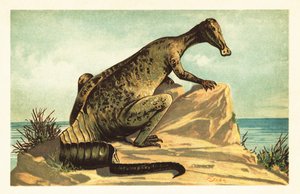 Trachodon mirabilis, soyu tükenmiş hadrosaurad dinozor.1908 (litografi) by Unbekannter Künstler