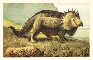 Triceratops prorsus, soyu tükenmiş otçul dinozor.1908 (litografi) by Unbekannter Künstler