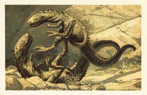 İki savaşan Dryptosaurus aquilunguis.1908 (litografi) by Unbekannter Künstler