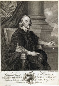 William Harvey, İngiliz doktor by Unbekannt