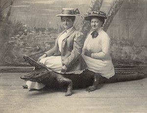 Doldurulmuş bir timsahın üzerinde oturan kadınlar, 1905 dolayları (s/b fotoğraf) by Unbekannter Künstler