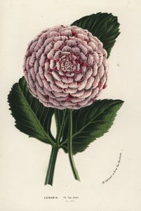  by Unbekannter Künstler
