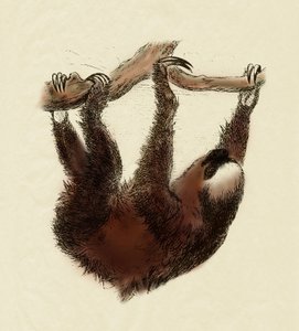  by Unbekannter Künstler