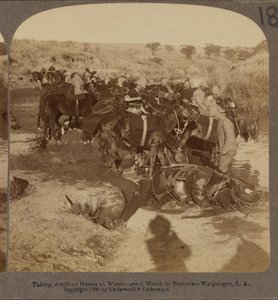 Sulama Topçu atları, Welgelegen, Güney Afrika by Underwood and Underwood