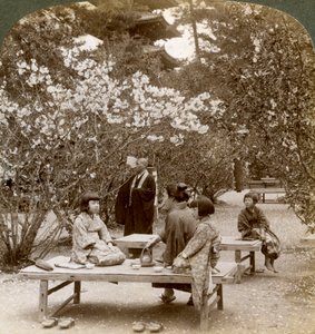 Kiraz çiçeklerinin altında piknik yapan bir aile, Omuro Gosho, Kyoto, Japonya, 1904. by Underwood and Underwood