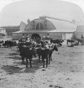 Savaş esirlerinin yargılandığı bina, Pretoria, Güney Afrika, Boer Savaşı, 1901 by Underwood and Underwood