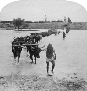Modder Nehri