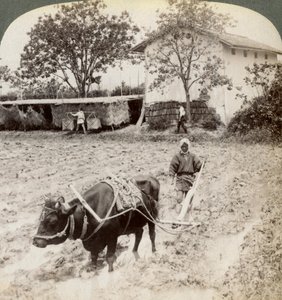 Kyoto, Japonya, 1904 yakınlarındaki Uji