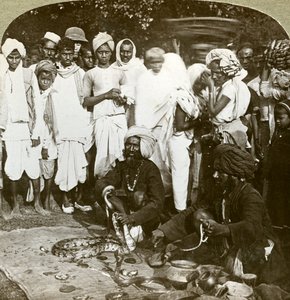 Yılan oynatıcısı, Kalküta, Hindistan, 1900