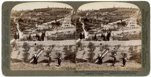 Getsemani Bahçesi ve Zeytin Dağı, Filistin, 1908. by Underwood and Underwood