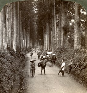 Korular, Tanrıların ilk tapınaklarıydı, Nikko, Japonya