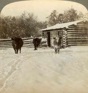 Bir çiftlikte kış, Montana, ABD. by Underwood and Underwood