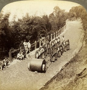 Darjeeling Otoyolu, Hindistan üzerinde çalışan kadınlar. by Underwood and Underwood