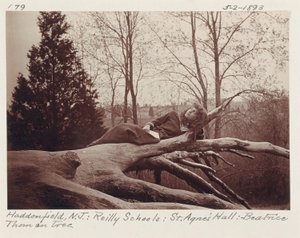 [Beatrice Thom Ağaçta, Haddonfield, New Jersey] by Unidentified