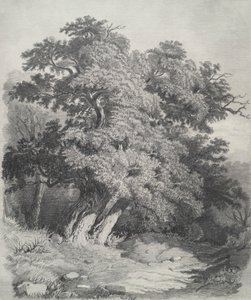 Ağaç Yığını by Unknown