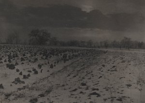 Kar Altında Lahana Tarlası by Unknown
