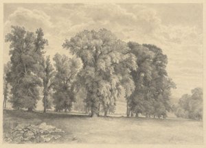 Çayır ve Ağaçlar by Unknown