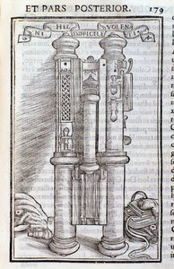 Bir Fagotus (Phagotus). Theseus Ambrosius Albonesius