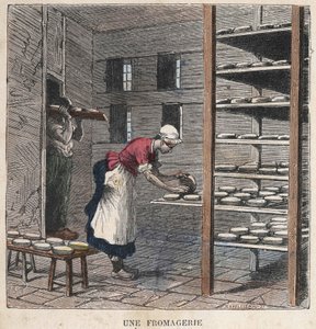 Bir peynir fabrikası. 19. yüzyıl illüstrasyonu. Bianchetti koleksiyonu. by Unknown artist