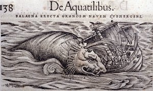 Bir balina, bir teknenin gövdesini yok eder ve batmasına neden olur. Gravür n Historia Animalium, Conrad Gesner (1516 - 1565), Tiguri by Unknown artist