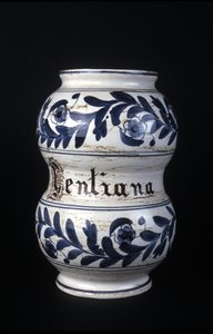 Albarelle: centiyana içeren eski 16. yüzyıl eczane vazosu. Bilim ve Teknoloji Müzesi, Milano. by Unknown artist