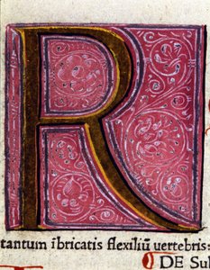 Alfabe: minyatür R harfi by Unknown artist
