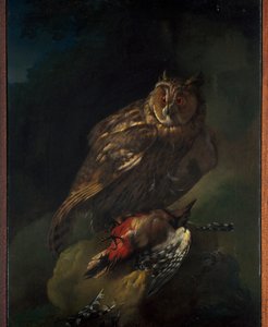 avı ile bir baykuş by Unknown