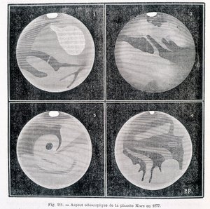 1877