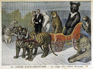 İklimlendirme bahçesinde: vahşi hayvanların kafesi - 02/06/1895 tarihli “” Le Petite Journal” da by Unknown artist