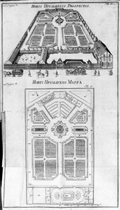 Botanik Bahçesi - HORTI UPSALIENSIS ileriye dönük ve plan. by Unknown artist
