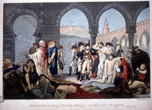 Mısır Seferi (Seferi) (1798-1801): Napolyon, 1800 dolaylarında Mısır