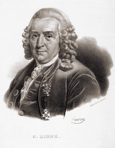 Carl Von Linné İsveçli doğa bilimci ve yazar (1707-1778). by Unknown artist