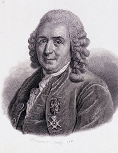 Carl Von Linné İsveçli doğa bilimci ve yazar (1707 - 1778) - “Yararlı Adamların Portresi”nde” by Unknown artist