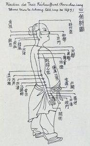 Çin Akupunkturu: üç ısıtıcının meridyeni by Unknown artist