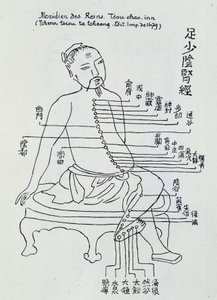 Çin akupunkturu: böbreklerin meridyeni by Unknown artist