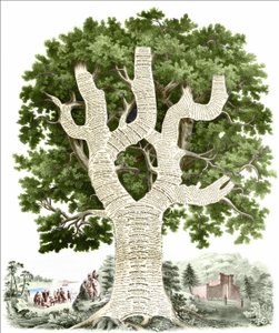 Yayıncı tarafından Amerika Birleşik Devletleri halkına adanmış Amerikan tarihinin kronolojik tablosu. Gravür v. 1881. by Unknown artist