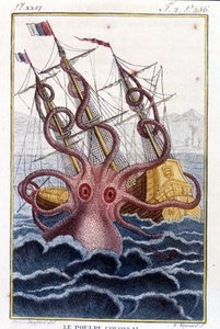Devasa ahtapot (ahtapot, dev kalamar, kraken) bir gemiye (gemi, gemi) saldıran - Pierre Denys-Montfort (Denys de Montfort 1766-1820) kitabının gravürü “” Histoire naturelle des mollusques”, orijinal 1802 baskısı - by Unknown artist