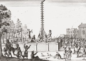 Johan ve Cornelis de Witt