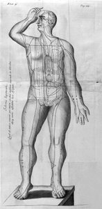 W.Ten Ren tarafından De Akupunktur. Londra 1683. Akupunktur ile ilgili ilk Batı metni. by Unknown artist